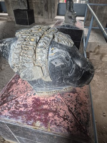 An animal head is seen from the side, with a prominent eye and bands of ornament across its upper surface. Cracks and pale surface deposits are visible.