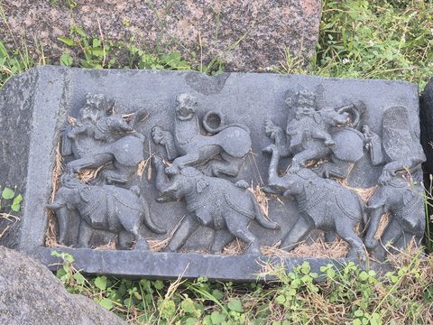 Animal forms occupy two horizontal rows on a rectangular fragment lying in the grass. Leaves and small deposits rest in the recesses.