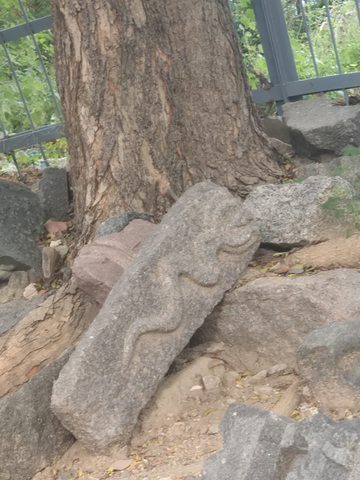 A sinuous raised form runs along an elongated stone leaning near a tree. Its upper end is uneven and broken.
