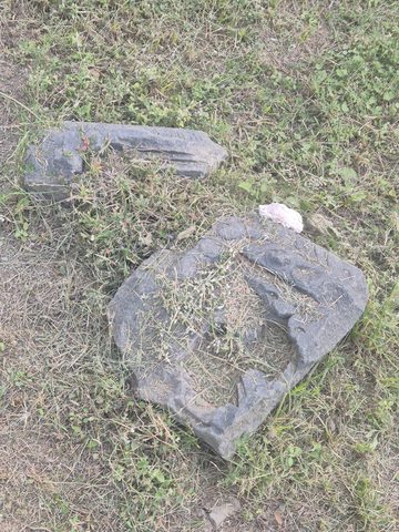 Two separate fragments lie in the grass, one with a rounded opening in its surviving outline. No connection between the pieces is established.